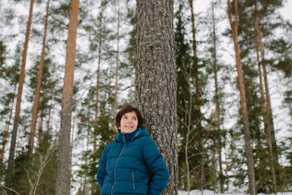 hoidettu metsä on ilo metsänomistajalle