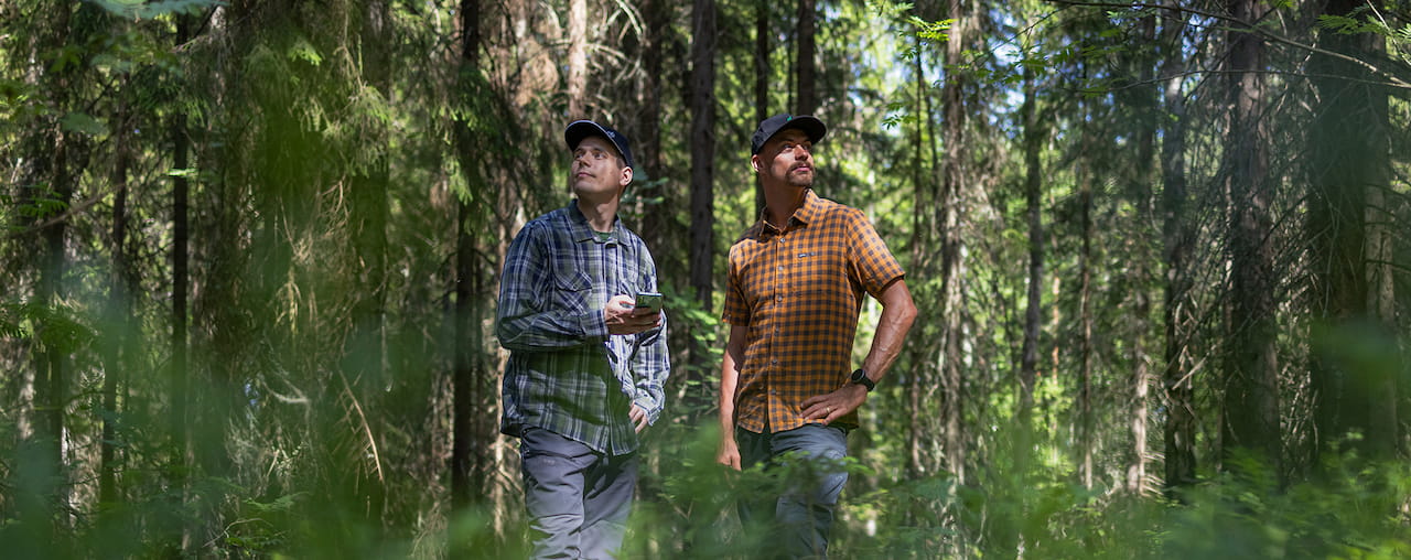 Metsänhoitoyhdistyksen jäsenyys tuo turvaa metsänomistamiseen