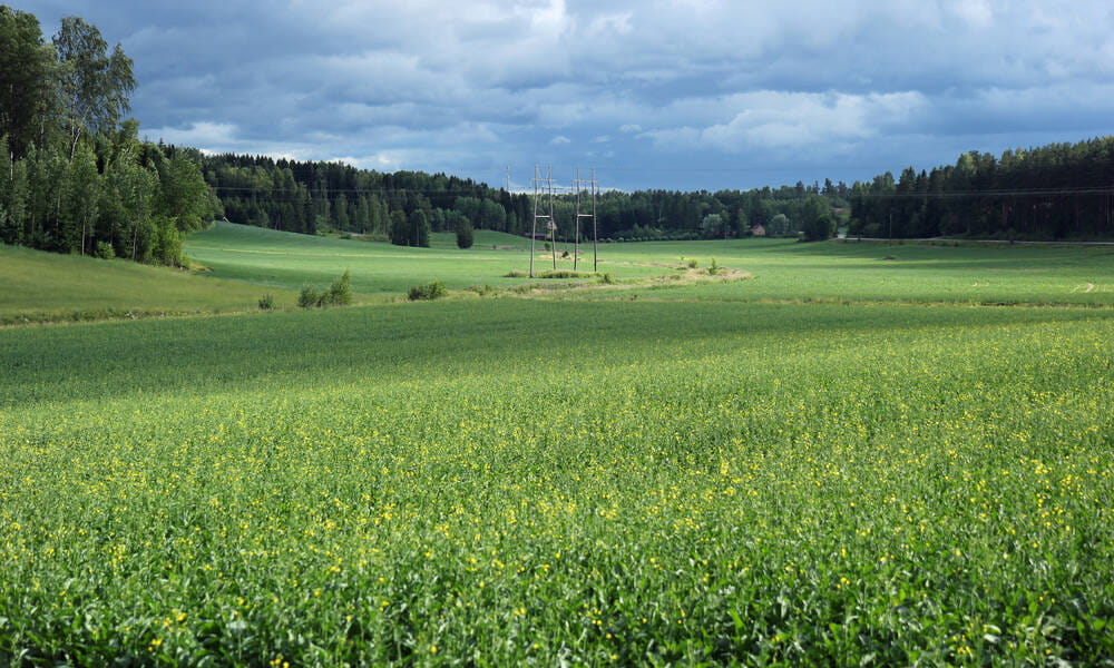 MTK: Uusittu lunastuslaki on iso parannus omaisuuden suojaan  