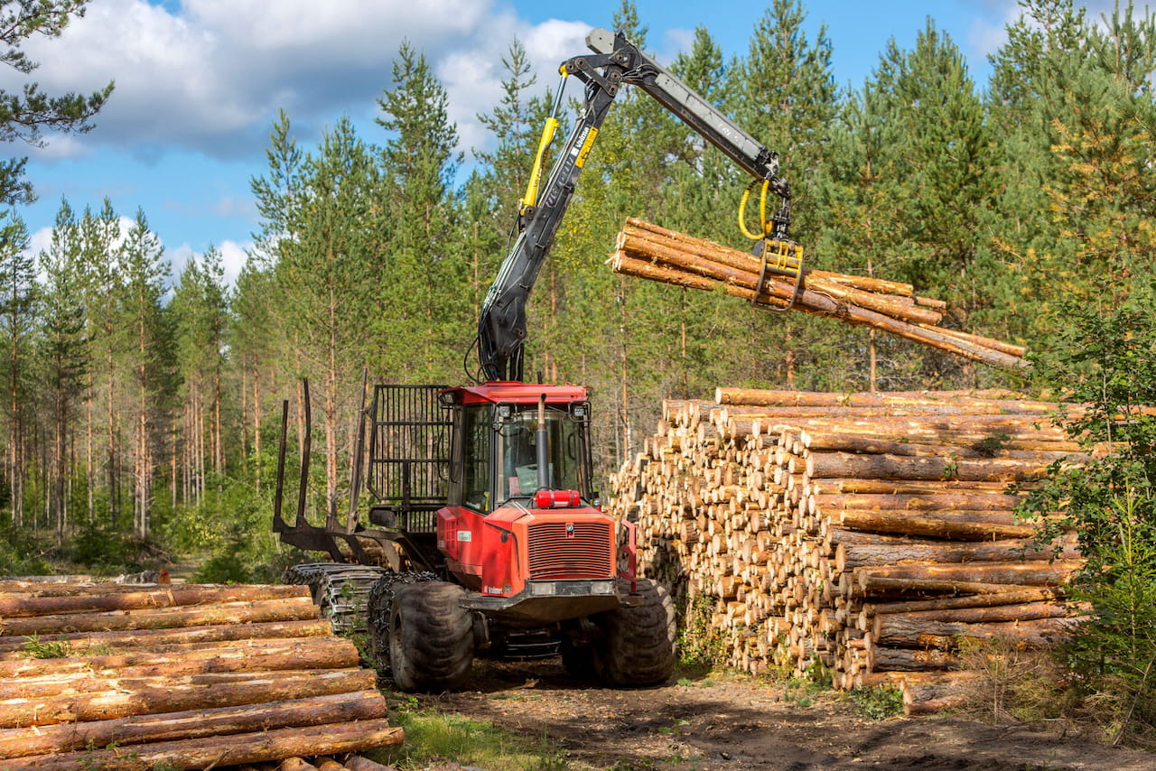 Puumarkkinoiden toimivuutta ei ole syytä vaarantaa  