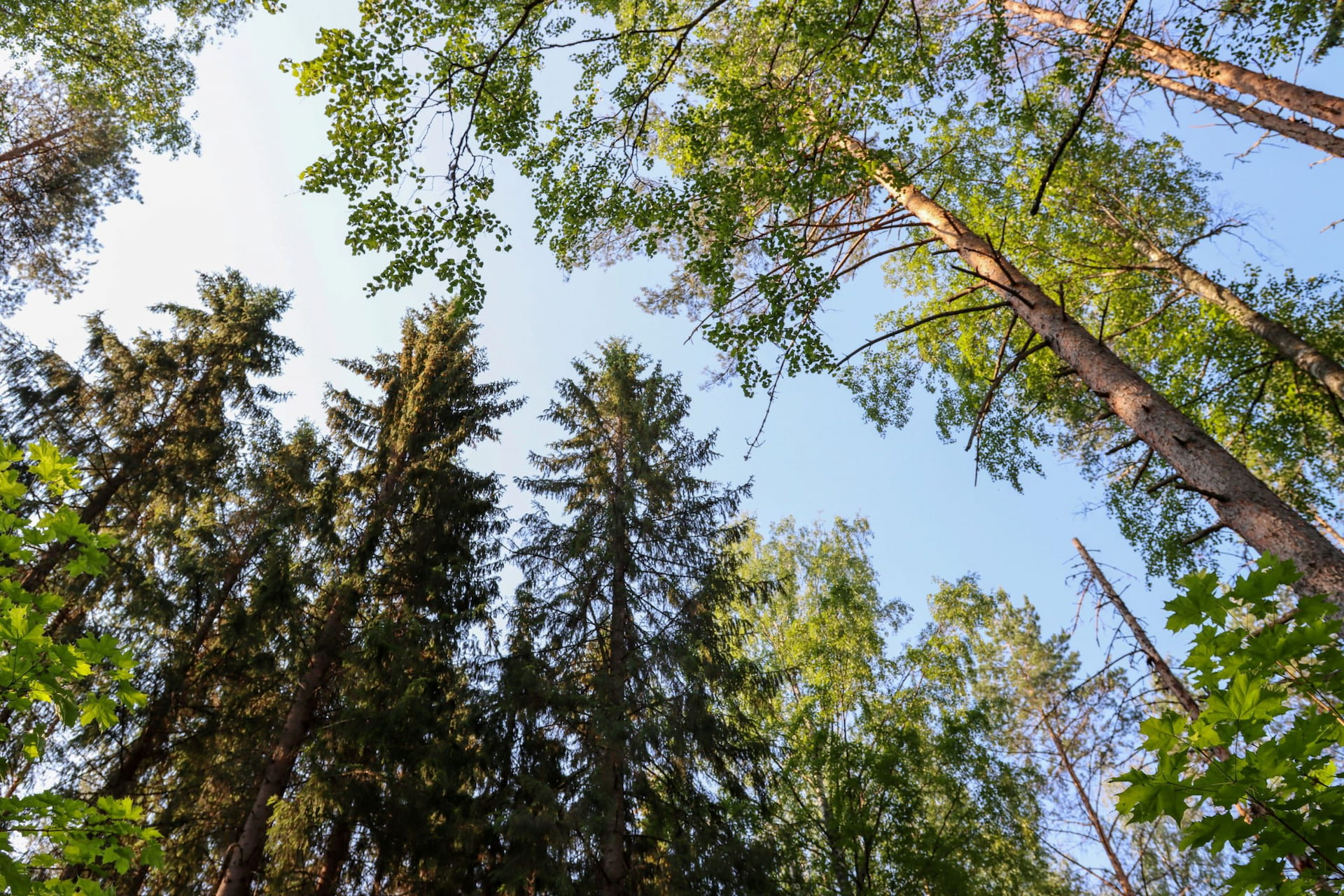 ISO 14001 Ympäristö - vastuulliset valinnat joka työmaalla