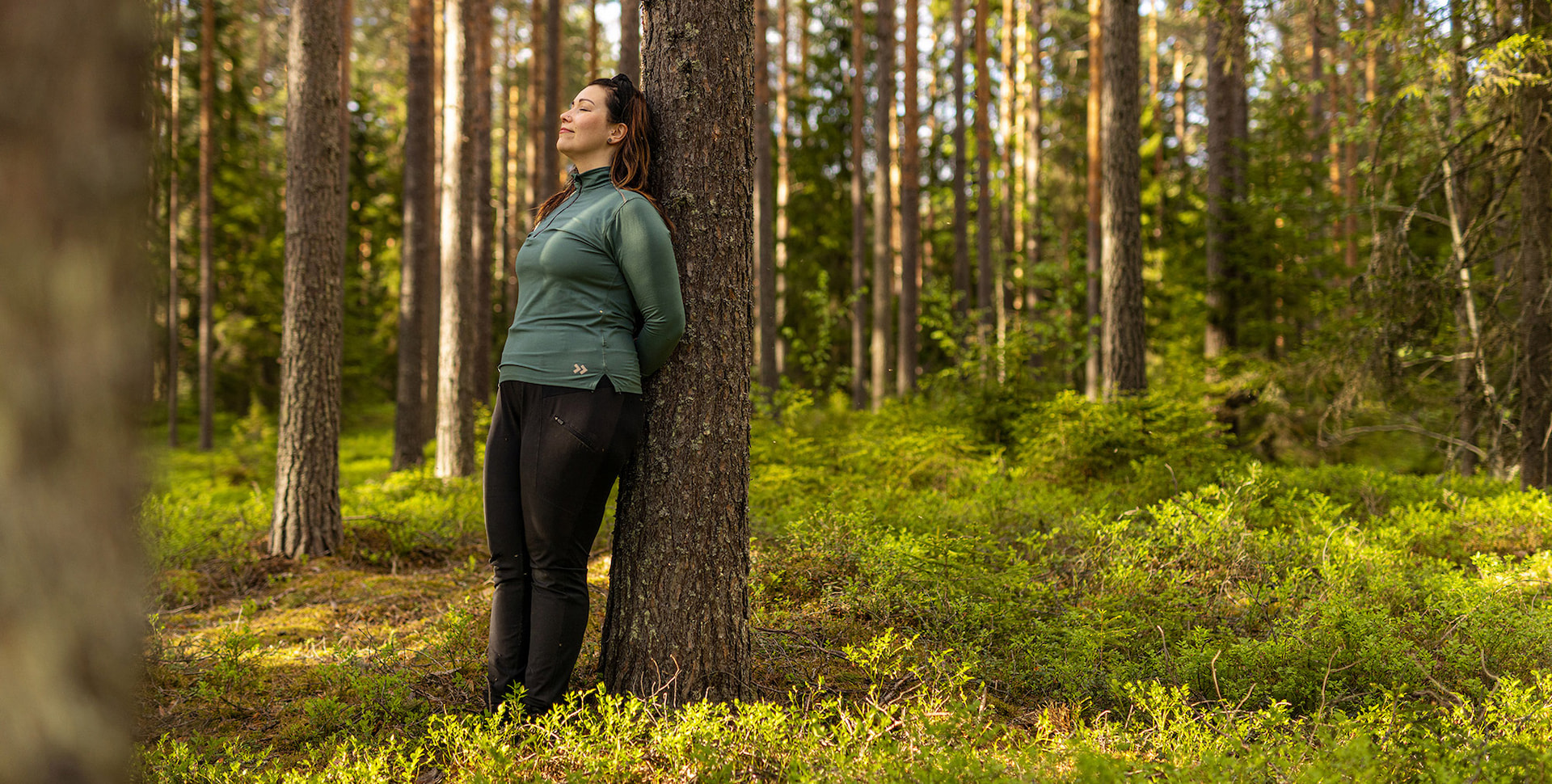 Uusi metsänomistaja