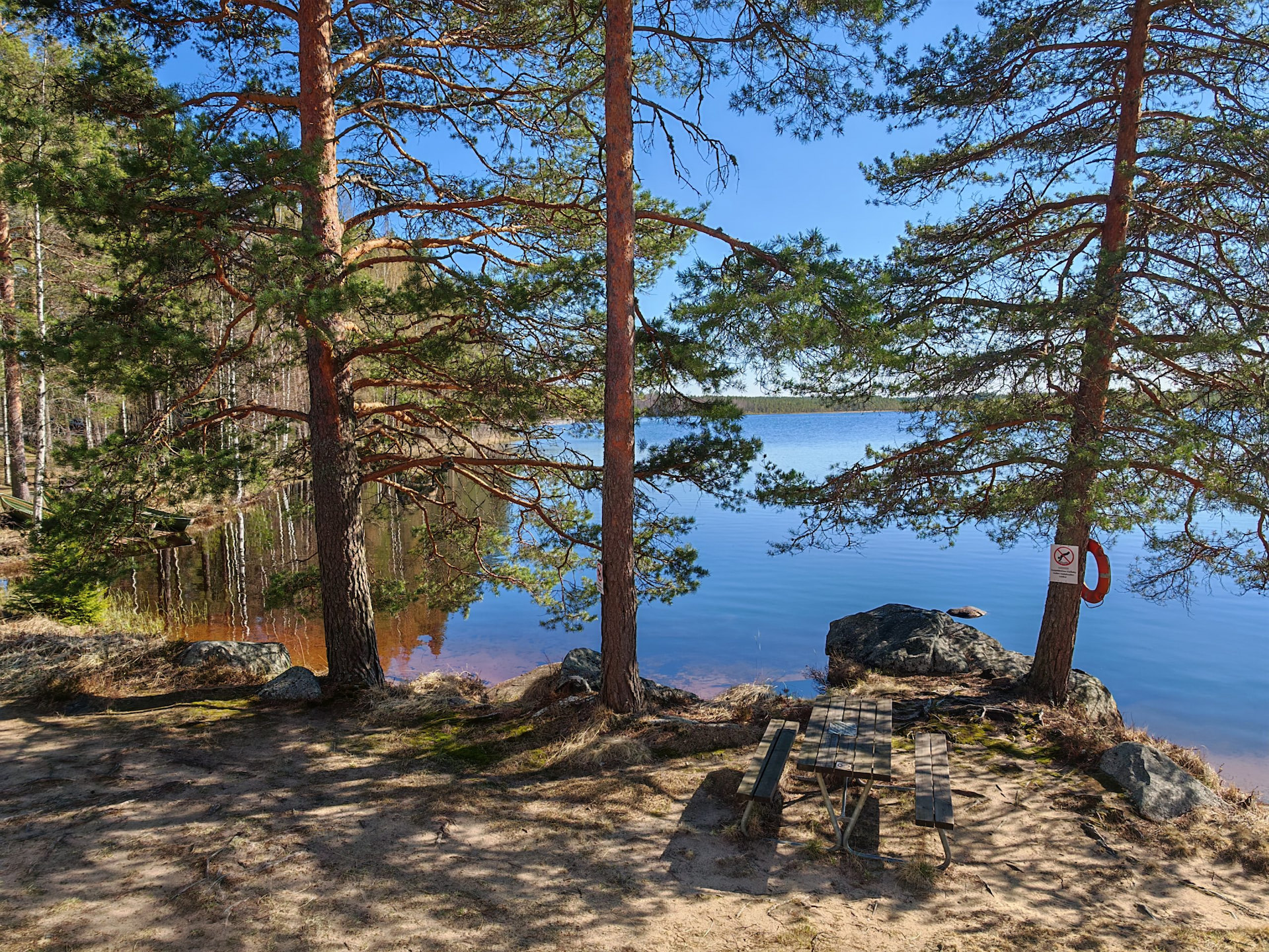 Metsänhoitoyhdistys tuntee metsäsi